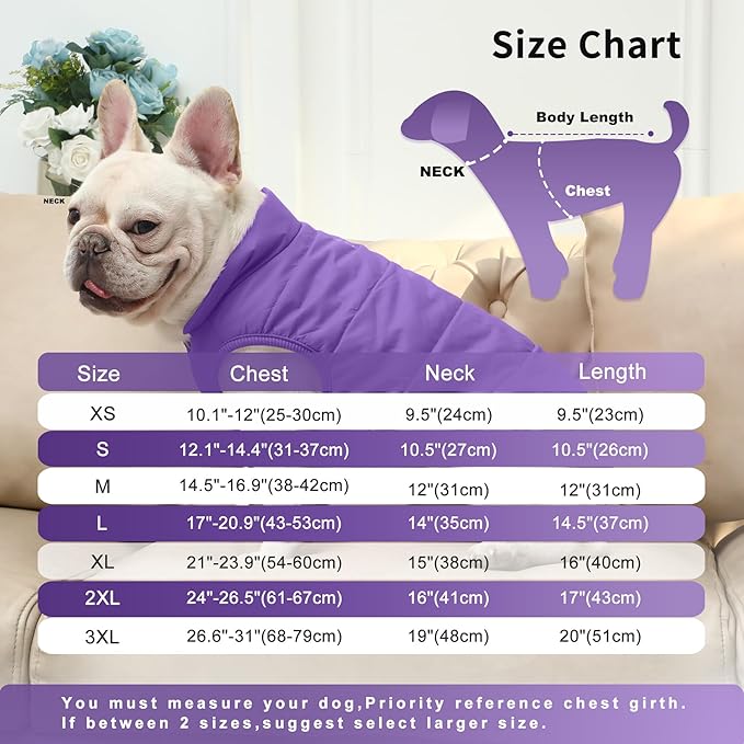 2 Layers Fleece Lined Warm Dog Jacket for Winter Cold Weather,Soft Windproof Medium Dog Coat,Purple XL