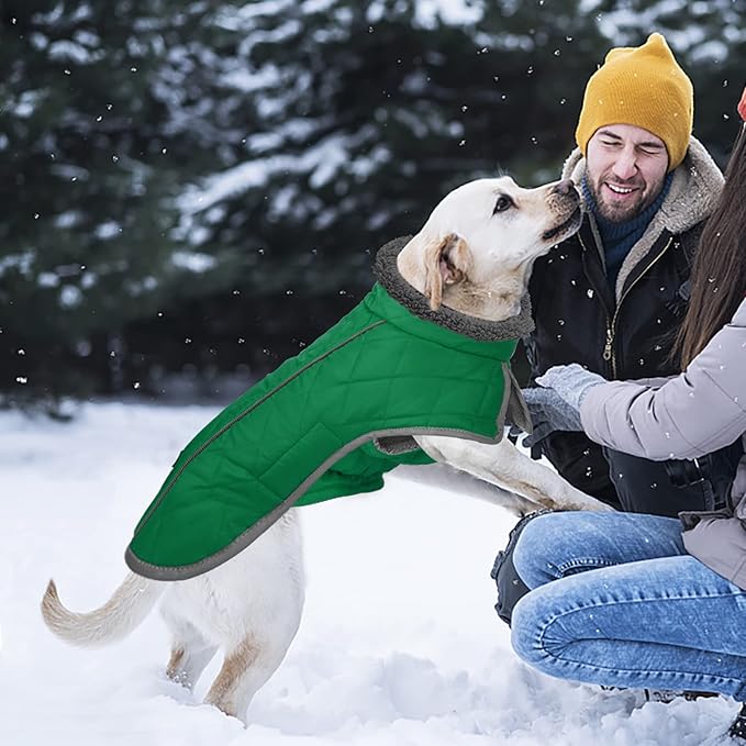 Fragralley Dog Coat Small, Waterproof Dog Jacket with Warm Fleece Lining, Adjustable Reflective Dogs Winter Coat, Turtleneck Pet Coats for Cold Weather (Green S)