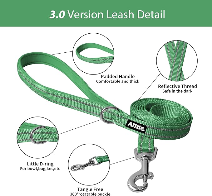 AIITLE Comfortable Dog Harness and Leash Set for Walking - Summer Step in Vest Harness,Reflective Bands, Adjustable No Pull Puppy Essentials, for Small Dogs and House Cats Green XS