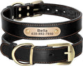 Didog Genuine Leather Dog Collars with Engraved Nameplate, Personalized Soft Leather Dog Collar with Custom ID Tag, Brown/Green/Red for Small Dogs (S,Black)