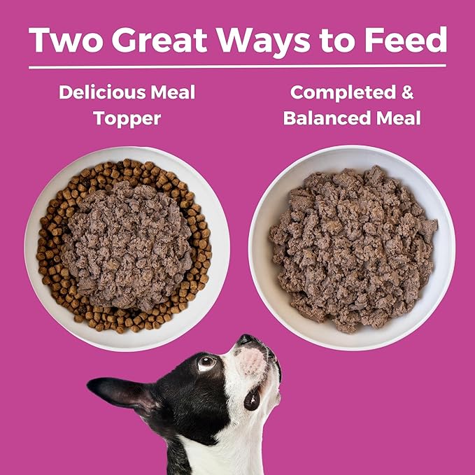 KOHA Limited Ingredient Diet Pork Entrée for Dogs- Sensitive Stomach Canned Dog Food - High Protein, No Fillers Pate Dog Food - 13 oz Pack of 12