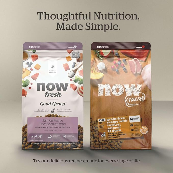 Now Fresh Grain-Free, Dry Dog Food, Real Trout, Salmon and Herring Adult Recipe, All Breed Size, 22 lb Bag