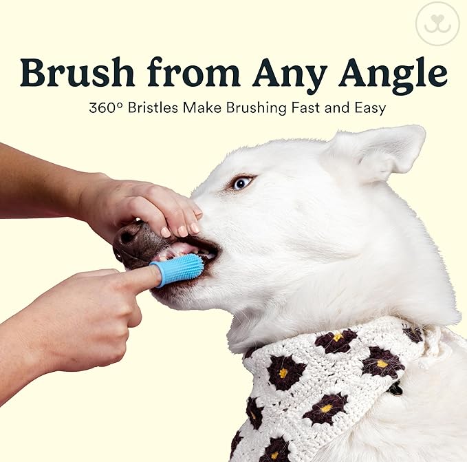 Jasper Dog Toothbrush, 360 Dog Tooth Brushing Kit, Finger Toothbrush, Cat Tooth Brush, Teeth Cleaning, Pet Tooth Brush for Small & Large Pets, Pet Toothpaste Not Included, 2-Pack Blue