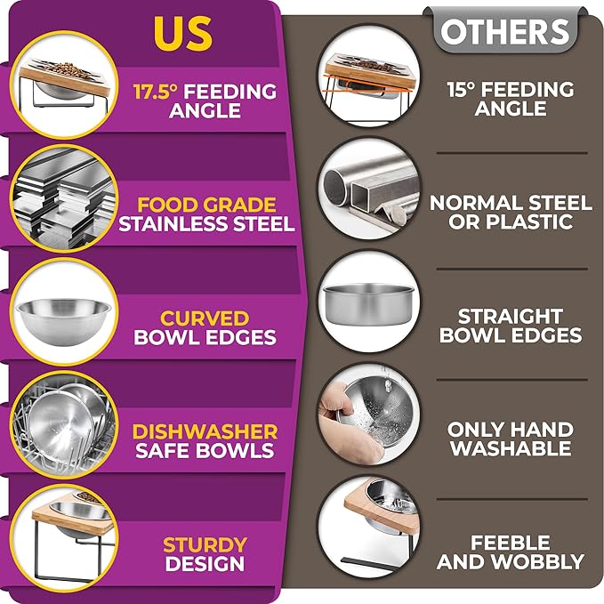 Raised cat Bowls for Indoor Cats by WinTruffles, Elevated cat Bowls, Tilted and Elevated Anti Vomiting Cat Dishes for Food and Water, Set of 2 Stainless Steel Bowl
