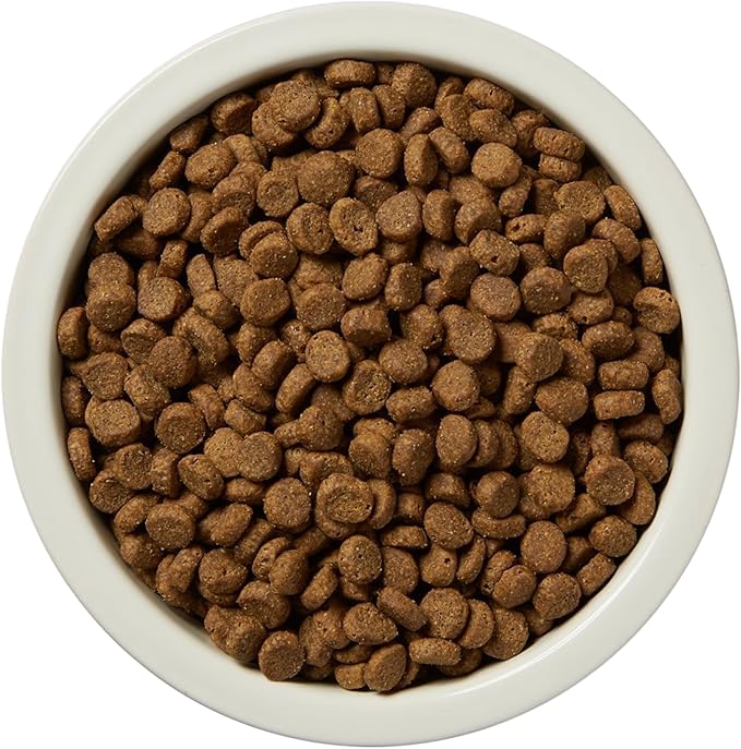 Amazon Brand - Wag Dry Dog Food Grain-Free Salmon & Lentil Recipe, High Protein (24 lb bag)