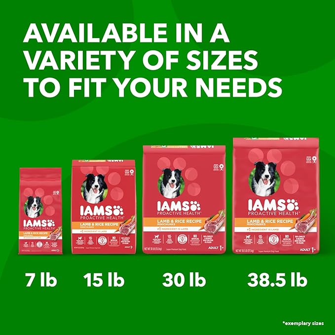 IAMS Proactive Health Minichunks Adult Dry Dog Food with Lamb & Rice, 15 lb. Bag