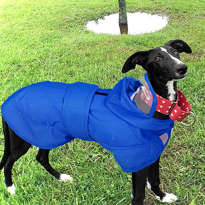 Kuoser Dog Raincoat, Waterproof Dog Rain Jacket with Clear Hooded Double Layer, Lightweight Reflective Dogs Rain Coat with Adjustable Belly Strap, Rain Coats for Large Dogs Outdoor Wear, Blue XL