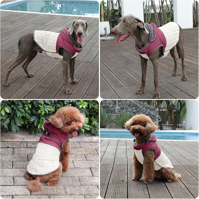 Detachable Hooded Dog Coat with Harness for Small Dogs,Super Warm Fleece Puppy Jacket for Cold Winter Doggie Coats,Red XS