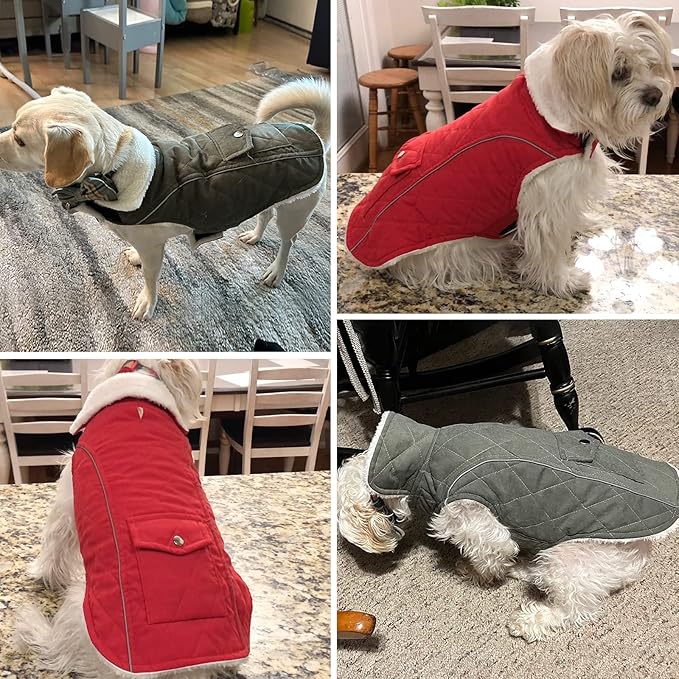 Malier Dog Winter Coat, Windproof Dog Cold Weather Coats with Real Pocket, Winter Extra Warm Pet Coat Fleece Jacket Reflective Clothes for Small Medium Large Dogs and Puppy (Red, X-Large)