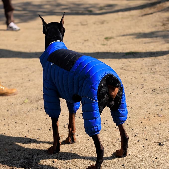 Warm Dog Jacket, 4 Legs Covered Waterproof Windproof Reflective Vest, Zippered Adjustable Outdoor Snow Jacket for Small to Large Dogs, Blue
