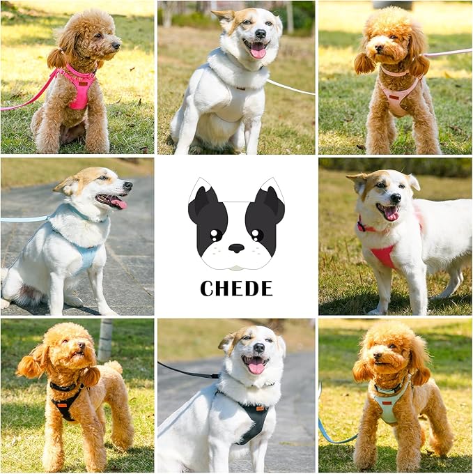 No Pull Dog Harness- Lightweight, Soft, Adjustable Small Harness Collar and Leash Set, Suitable for Cats Puppy Small and Medium-Sized Dog Outdoor Training and Running (Brown, M)