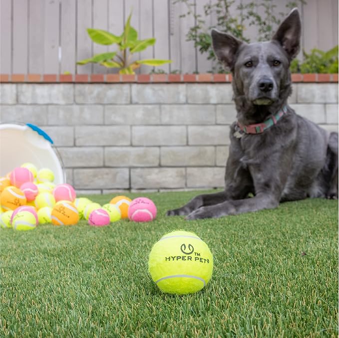 Hyper Pet Tennis Balls for Dogs (Safe Dog Ball, Tennis Balls for Exercise & Training) Interactive Toys work with Hyper Pet K9 Kannon K2 Dog Ball Launcher - 4 Pack 2.5" Green