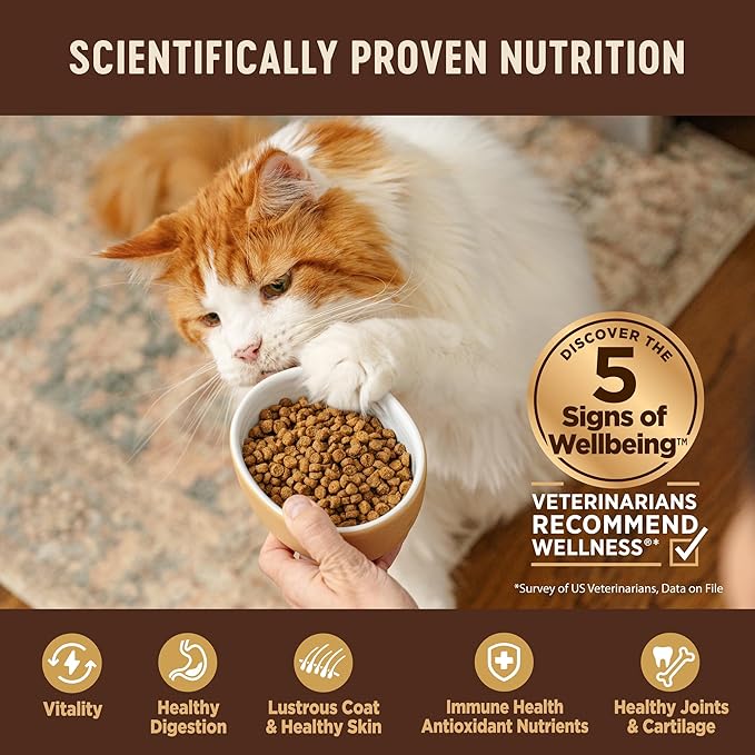Wellness CORE Adult Dry Cat Food for Indoor & Outdoor Cats, Grain-Free, Natural, Turkey, Turkey Meal and Duck (5 Pound Bag)