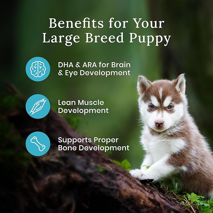 Blue Buffalo Wilderness Natural High-Protein Dry Food for Large Breed Puppies, WITH WHOLESOME GRAINS, Chicken, 28-lb Bag.