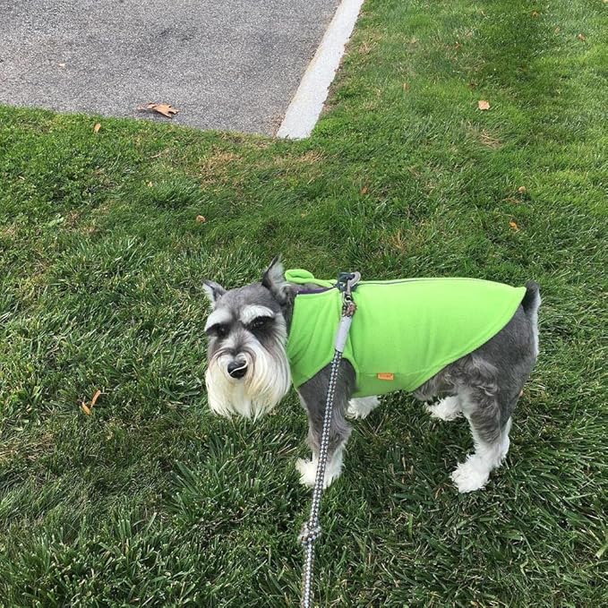 Gooby Zip Up Fleece Dog Sweater - Lime, X-Large - Warm Pullover Fleece Step-in Dog Jacket with Dual D Ring Leash for Small to Medium Dogs