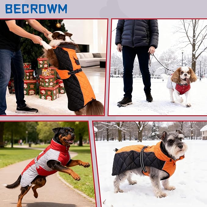 Dog Coat Dogs Winter Coat- Fleece Lined,Water-Resistant,Convertible Collar,Back Reflective Strip&Easy to Wear for Outdoor Walking Dog-Jacket(Orange, X-Small)