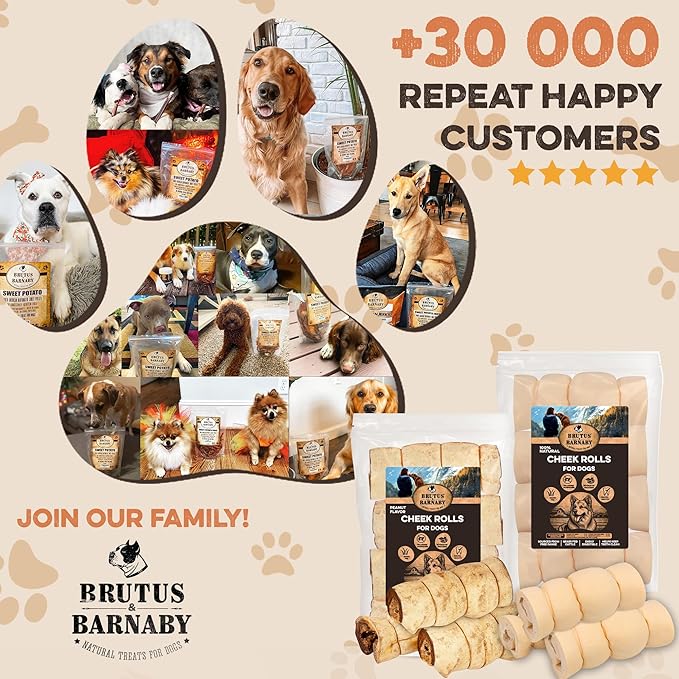 Premium Beef Cheek Rolls for Dogs 5-7" - (3-Pack) Long Lasting, Safe & Natural Rawhide Alternative Chews, Ideal for Large Dogs & Aggressive Chewers, Supports Dental Health & Digestion