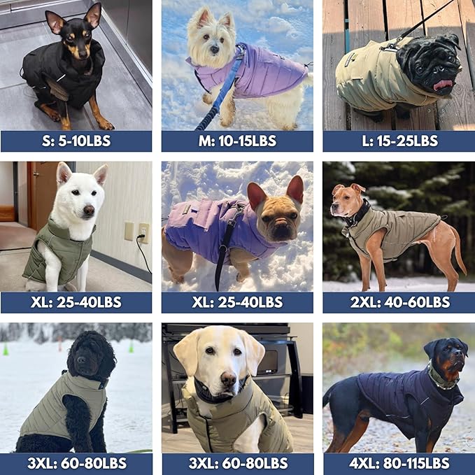 Spark Paws Dog Winter Jacket, Water-Resistant Coat, Warm Reflective Windproof Fleece-Interior, for Medium and Large Dogs - Black - L