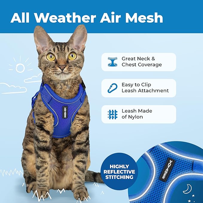 Best Pet Supplies Voyager Escape Proof Cat Harness and Leash Set with Reflective Stitching, Neoprene Handle 5ft - Supports Small, Medium and Large Cats, Kittens - Royal Blue, M (Chest: 16.5-19.5")