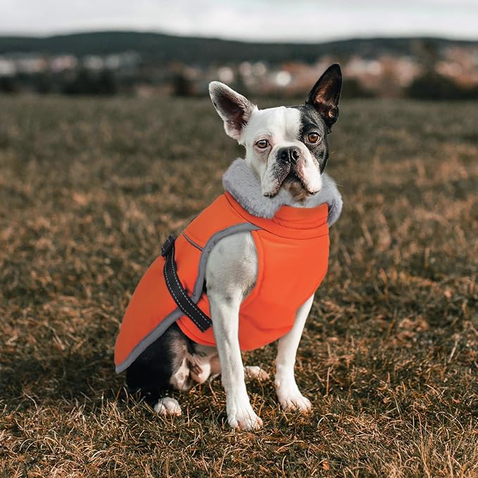 Lelepet Warm Dog Winter Coat Reflective Dog Jacket Fleece Vest Waterproof Windproof Cold Weather Coats with Adjustable Buckle Plush Turtleneck Pet Snowsuit for Small Medium Large Dogs,Yorshire,S