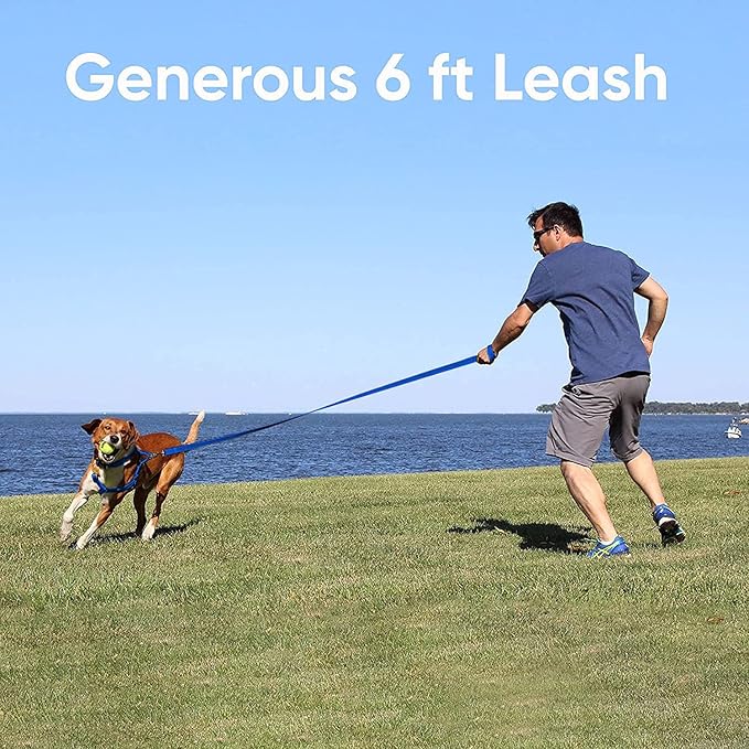 Pawtitas 6 FT Recycled Dog Leash with Reflective Stitched Thread Stitched on Side| Medium Reflective Dog Leash Made from Plastic Bottles Collected from Oceans – Red 6 ft Dog Leash