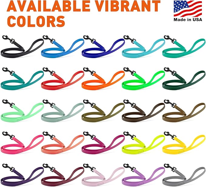Dogline Biothane Waterproof Dog Leash Strong Coated Nylon Webbing with Black Hardware Odor-Proof Easy to Clean High Performance for Small or Large Dogs Made in USA 4 or 6 ft Lead, Sage Green