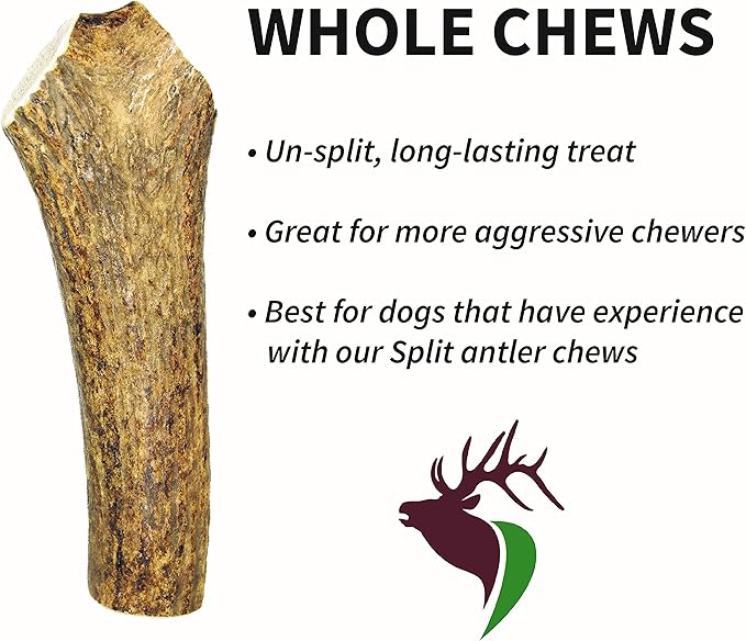 X Small Whole Twin Pack (for 0-15 lb Dogs and Puppies) Premium Grade Elk Antlers for Dogs (2 Pieces) Sourced in The USA