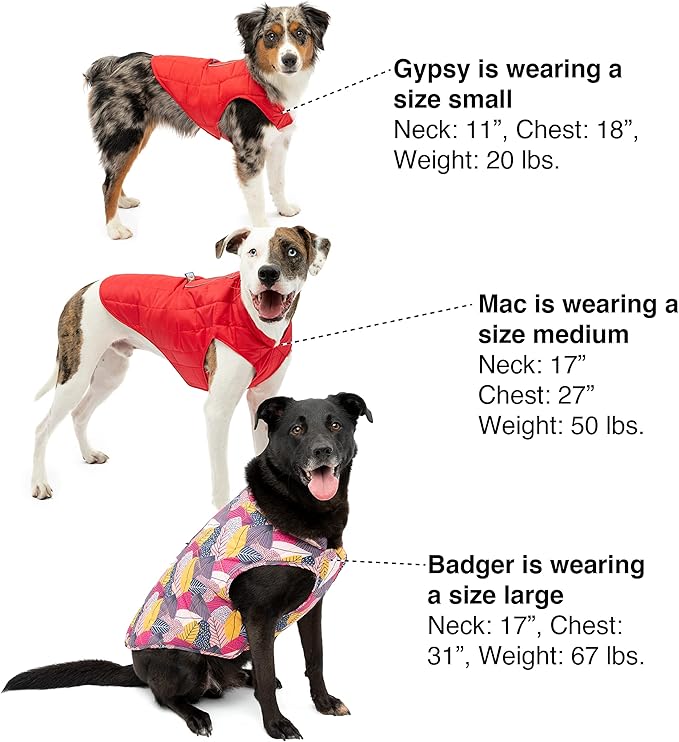 Kurgo Loft Dog Jacket - Reversible Cozy Coat for Outdoor Adventures - Water Resistant - Athletic Fit - Machine Washable Fabric - Reflective Dog Gear - Large - Fall Festival