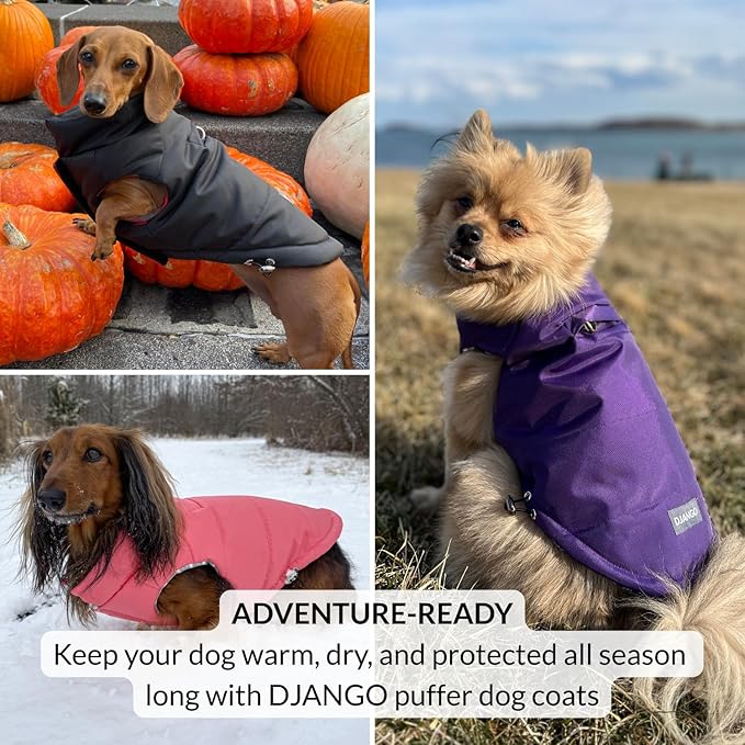 DJANGO Puffer Dog Coat – Warm Winter Dog Jacket & Water-Repellent Insulated Puffer Vest with Striped Lining, Harness Hole, Adjustable Fit for Small & Medium Dogs, Dachshunds – Rose Petal Pink, Large