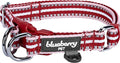 Blueberry Pet Safety Dog Collar with Dual D-Rings | 3M Reflective Multi-Colored Adjustable Collar in Marsala Red and Pink | Soft Nylon Dog Collar for Active Medium Dogs