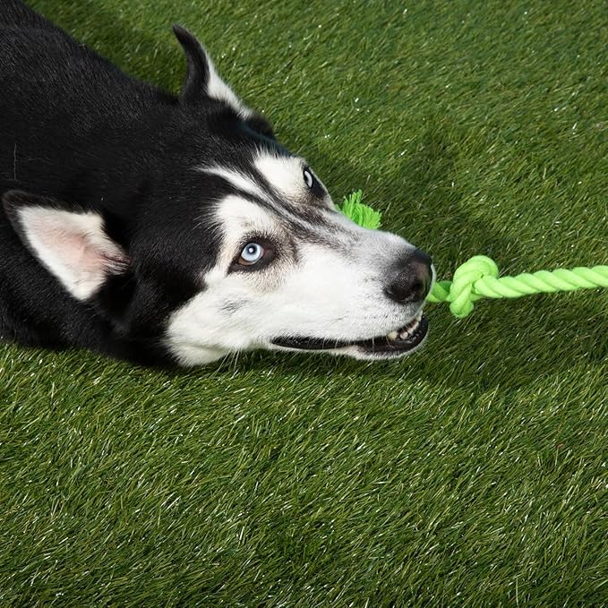 Tumbo Tough Tug Rope Dog Toy - (Green 5 ft Long Strong and Durable Rope Pull Toy with Handle) TUG of WAR Dog Toy