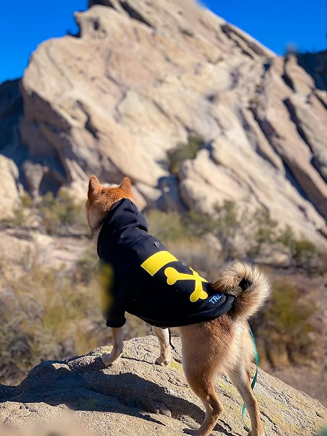 ChoChoCho Stylish Dog Hoodie Dog Clothes Streetwear Cotton Sweatshirt Fashion Outfit for Dogs Cats Puppy Small Medium Large (4XL, Yellow)