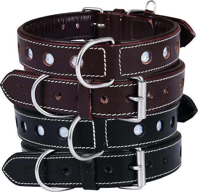 Genuine Leather Reflective Dog Collar | Stellar Series | Safe for Night Walking | Soft, Cushion Padding, Handmade | Best for Small, Medium, Large, (Medium (Fit Neck Size 14.5"-18.5"), Garnet)