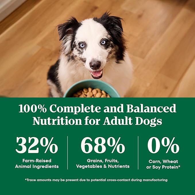 Nutro Natural Choice Lamb & Brown Rice Adult Healthy Weight Dog Food Recipe, 30 lb. Bag