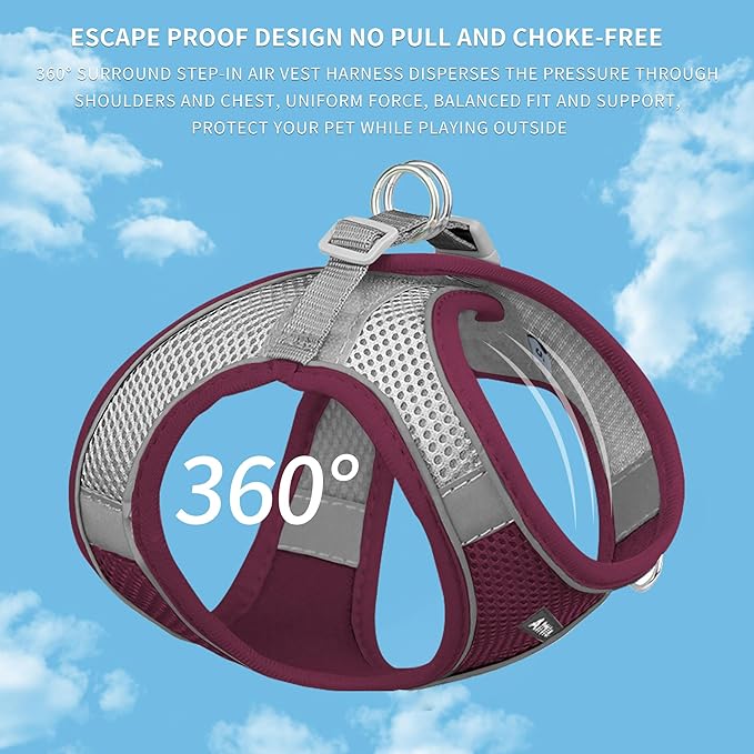 AIITLE Comfortable Dog Harness and Leash Set for Walking - Summer Step in Vest Harness,Reflective Bands, Adjustable No Pull Puppy Essentials, for Small Dogs and House Cats Burgundy XS