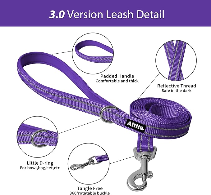 AIITLE Small Harness for Puppy with A Leash - Summer Dog Vest Harness with Super Breathable Mesh, Reflective No-Pull Pet Harness for Outdoor Walking, Camping for Small Dogs, Cats Pure Purple XXS