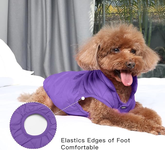 2 Layers Fleece Lined Warm Dog Jacket for Winter Cold Weather,Soft Windproof Medium Dog Coat,Purple XL