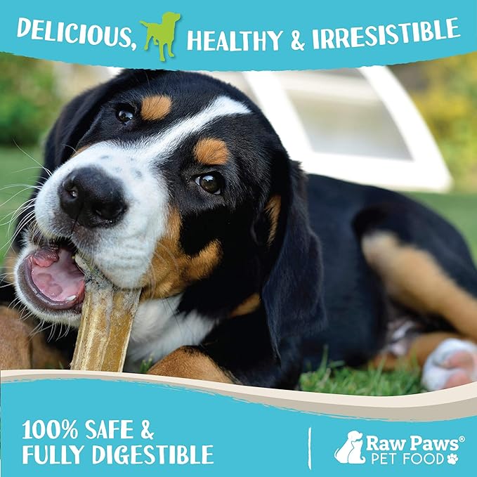 Raw Paws Compressed Rawhide Chews for Small Dogs (10 Pack) - Natural Raw Hides Small Dogs - Single Ingredient Dog Bones - Puppy Chew Bones - Puppy Teething Chews