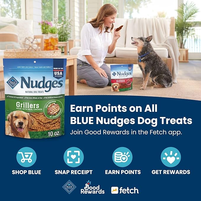 Blue Buffalo Nudges Grillers Natural Dog Treats, Beef, 16oz