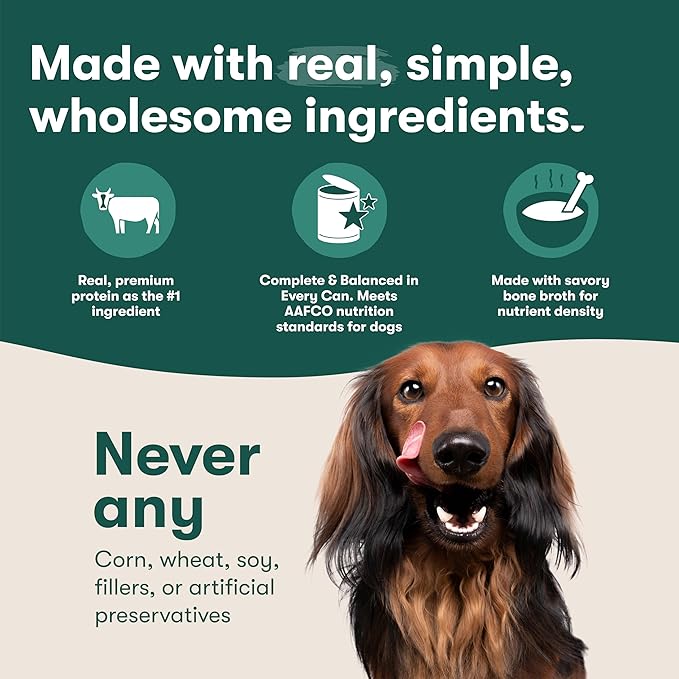 Jinx Bone Broth Stew for Dogs - Beef & Vegetables Recipe - Grain-Free Wet Dog Food & Topper for Picky Eaters - Promotes Lean Muscle Growth, A Healthy Coat & Improved Digestion - 13 Oz, 12 Pack