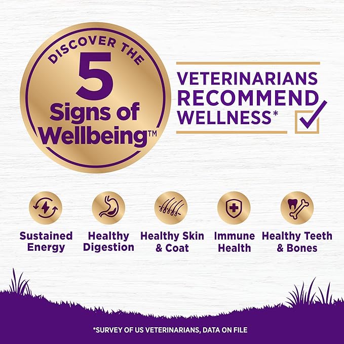Wellness Complete Health Sensitive Skin & Stomach Dry Dog Food, Wholesome Grains, Salmon & Rice Recipe, (38-Pound Bag)