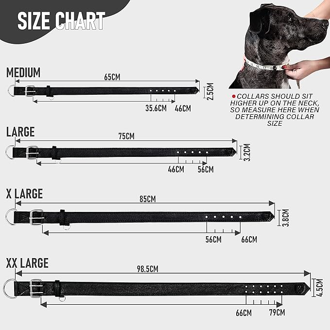 Riparo Dog Collar - Genuine Leather Dog Collars - Heavy Duty Dog Collars for Medium Large and Extra Large Dog Breeds (XXL: 1.75” Wide for 26” - 31” Neck, Black)