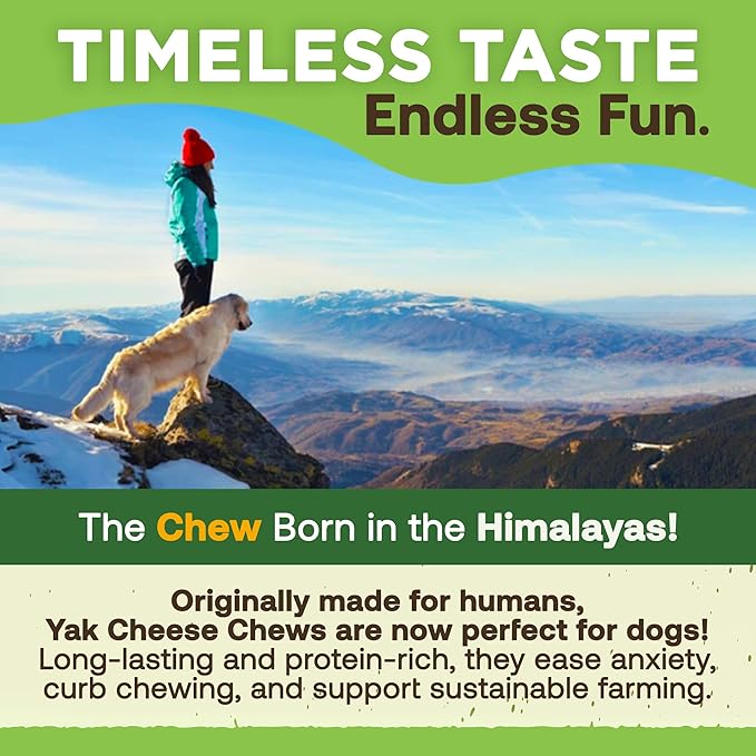 EcoKind Pet Treats Gold Himalayan Yak Cheese Dog Chew, Yak Dog Treats for Active Chewers, 100% Natural & Healthy Chew Sticks for Small & Large Dogs, Yak Cheese Chews (3 Medium Sticks)
