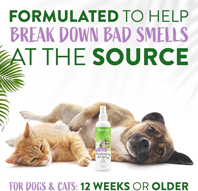 TropiClean Dog Perfume, Long Lasting Kiwi Cologne, Deodorizing Spray for Smelly Dogs, After Bath Detangling Spray with Vitamin E, Safe for Cats, 8oz.