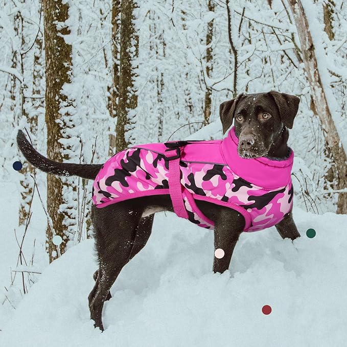 IECOii Extra Warm Dog Coat - Reflective Adjustable Dog Jacket with Buckle Fleece Turtleneck for Cold Weather - Soft Winter Coat for Small, Medium, Extra Large Dogs