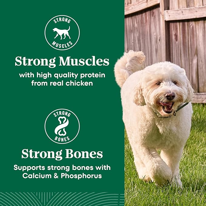 Nutro Natural Choice Chicken & Brown Rice Adult Dry Dog Food Recipe, 13 lb. Bag