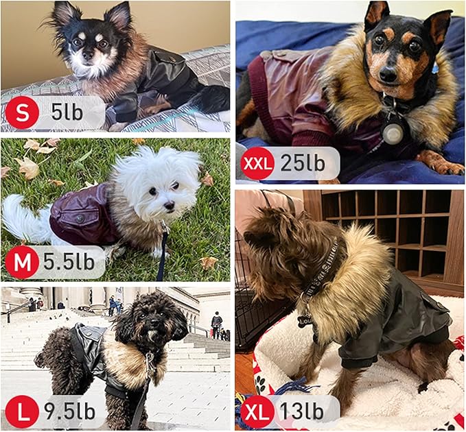 LESYPET Dog Leather Jacket for Small Dogs, Waterproof Dog Winter Jacket Puppy Coat with Fleece Lined, Ultra Warm Fur Collar Doggie Coat, Black M