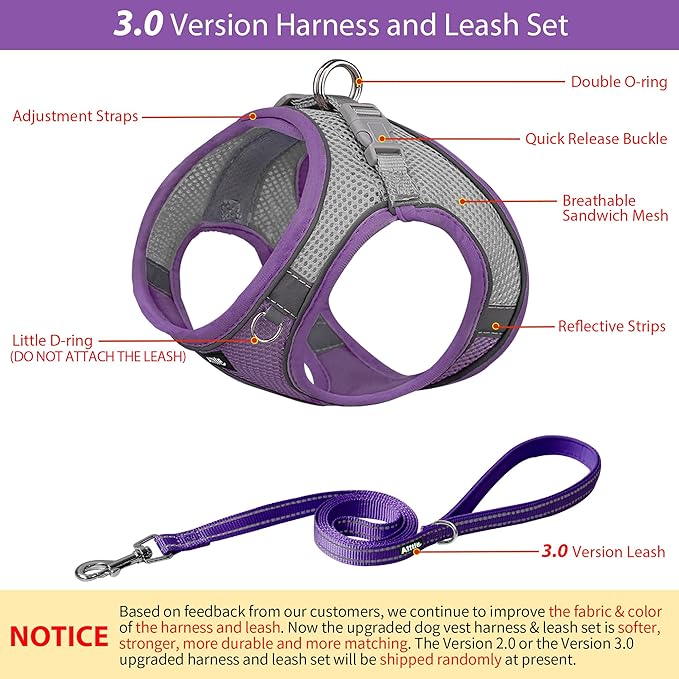AIITLE Small Harness for Puppy with A Leash - Summer Dog Vest Harness with Super Breathable Mesh, Reflective No-Pull Pet Harness for Outdoor Walking, Camping for Small Dogs, Cats Purple XXS