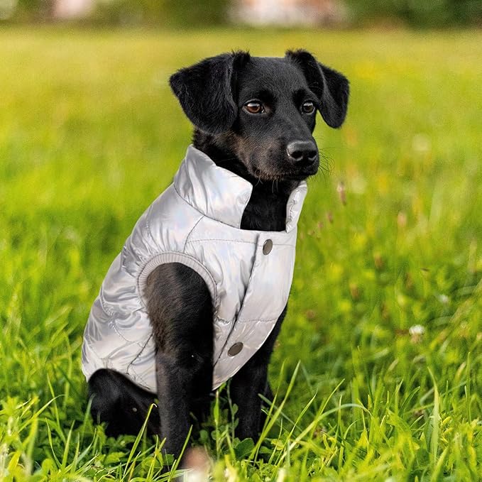 ASENKU Dog Winter Coat - Waterproof Windproof Dog Jacket, Warm Snowproof Doggie Puffer Vest for Cold Weather, Lightweight Snow Coats for Small Medium Large Dogs(Silver, XS)