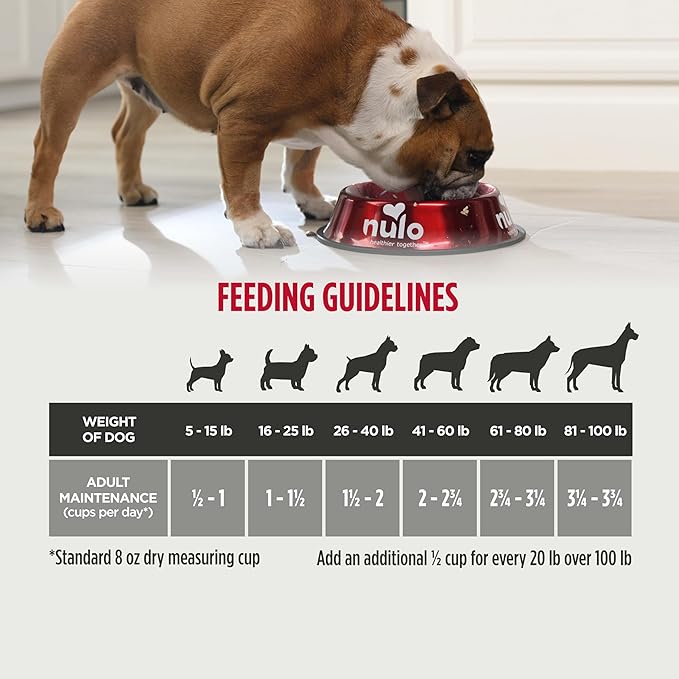 Nulo Frontrunner Ancient Grains High-Protein Dog Food, Pork, Barley, & Beef Recipe- Natural Dry Dog Food with Probiotics, Grain-Inclusive Kibble for Adult Dogs, 5 lb Bag